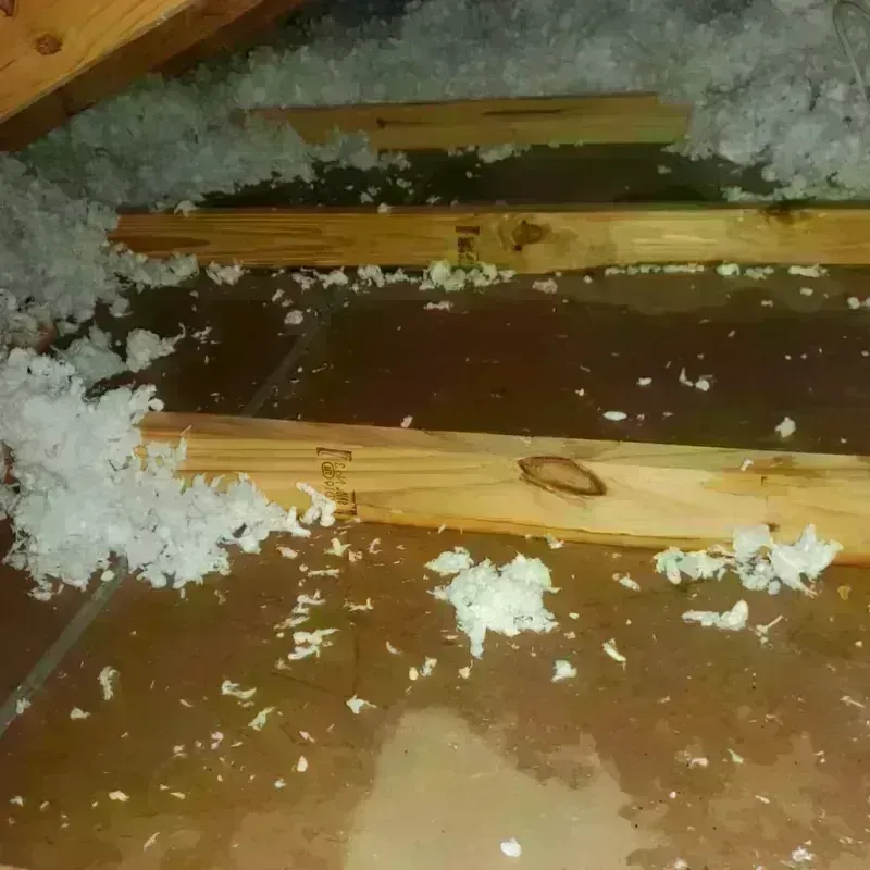 Attic Water Damage in Byron Center, MI