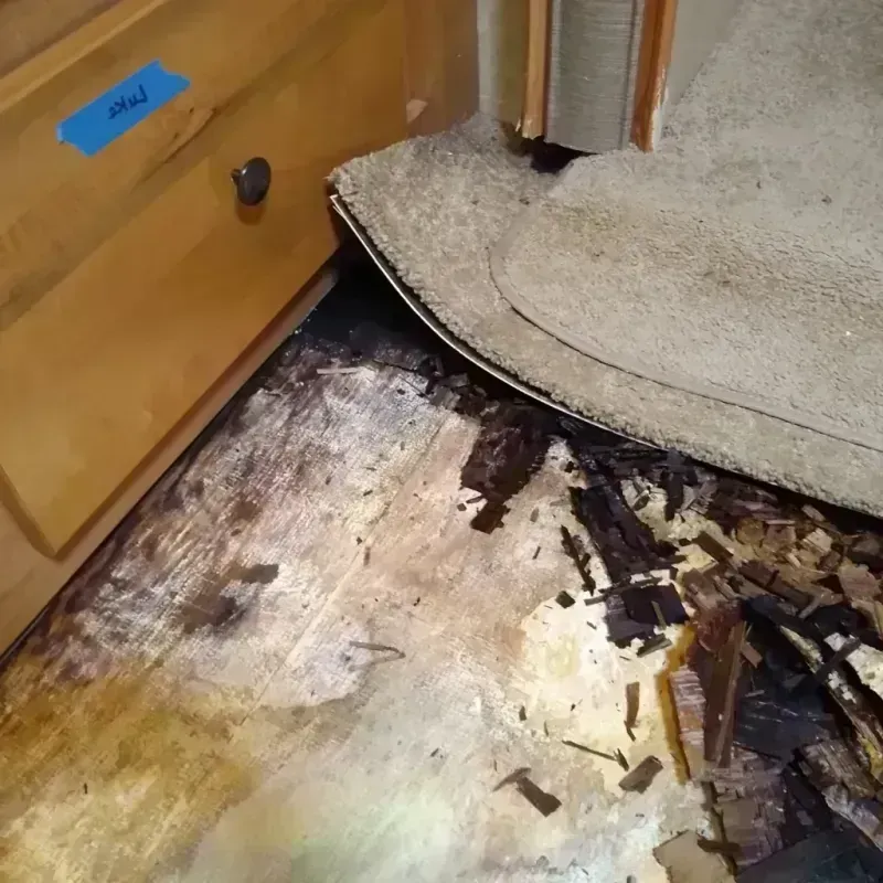 Wood Floor Water Damage in Byron Center, MI